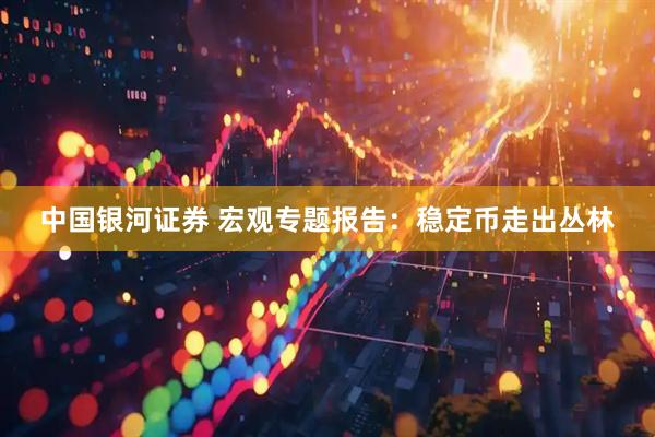 中国银河证券 宏观专题报告：稳定币走出丛林