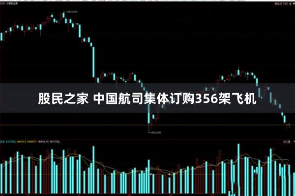 股民之家 中国航司集体订购356架飞机